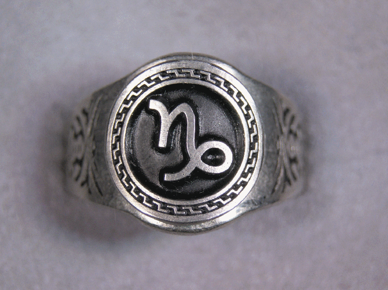 Zodiac rings All Signs Astrology Sign Jewelry Sizes 6 to 15 Your 